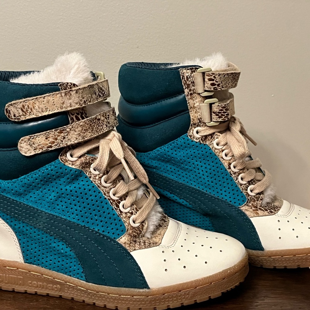 Puma